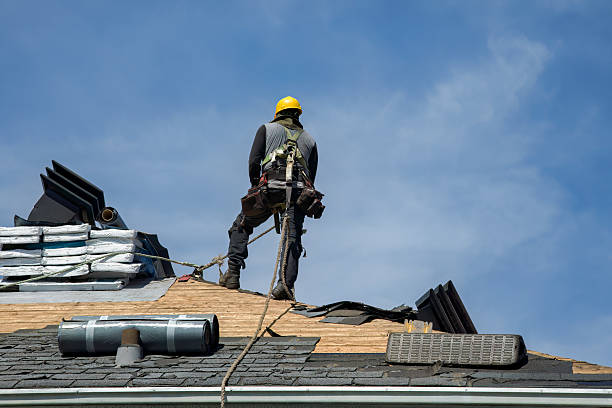 Professional Roof Replacement technician working in Bellingham, MN